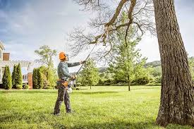 Why Choose Our Tree Removal Services in Fair Oaks Ranch, TX?